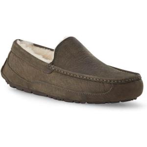 UGG Mens Ascot(Discontinued Burnt Olive)