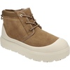 Chestnut/Whitecap